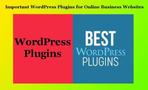 Important WordPress Plugins for Online Business Websites