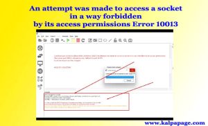 An attempt was made to access a socket in a way forbidden by its access permissions Error 10013